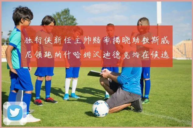 独行侠新任主帅赔率揭晓助教斯威尼领跑纳什哈姆汉迪德克均在候选之中