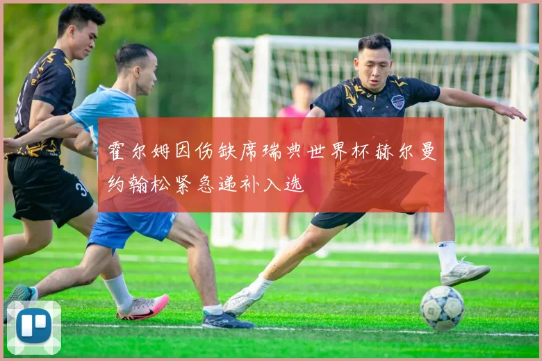 霍尔姆因伤缺席瑞典世界杯赫尔曼约翰松紧急递补入选